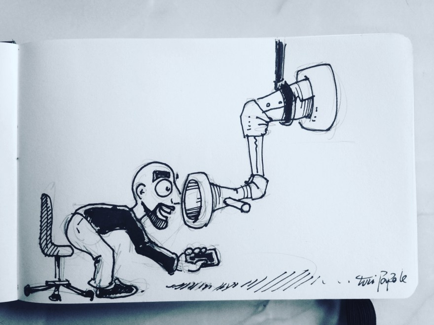 Looking for (c) Turi Papale 2017